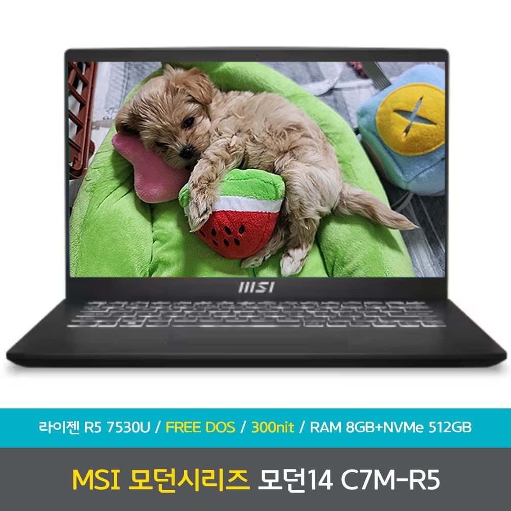 [오늘출발] MSI 모던시리즈 모던 14 C7M-R5 램8GB+NVMe512GB 노트북 NN
