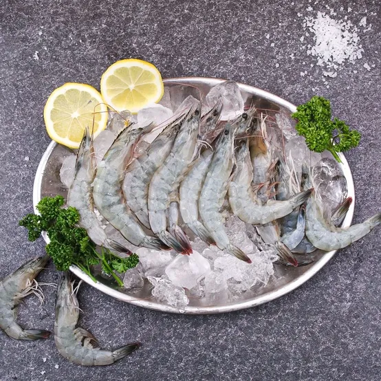 국내산 활새우 생새우 1kg (35미 내외)