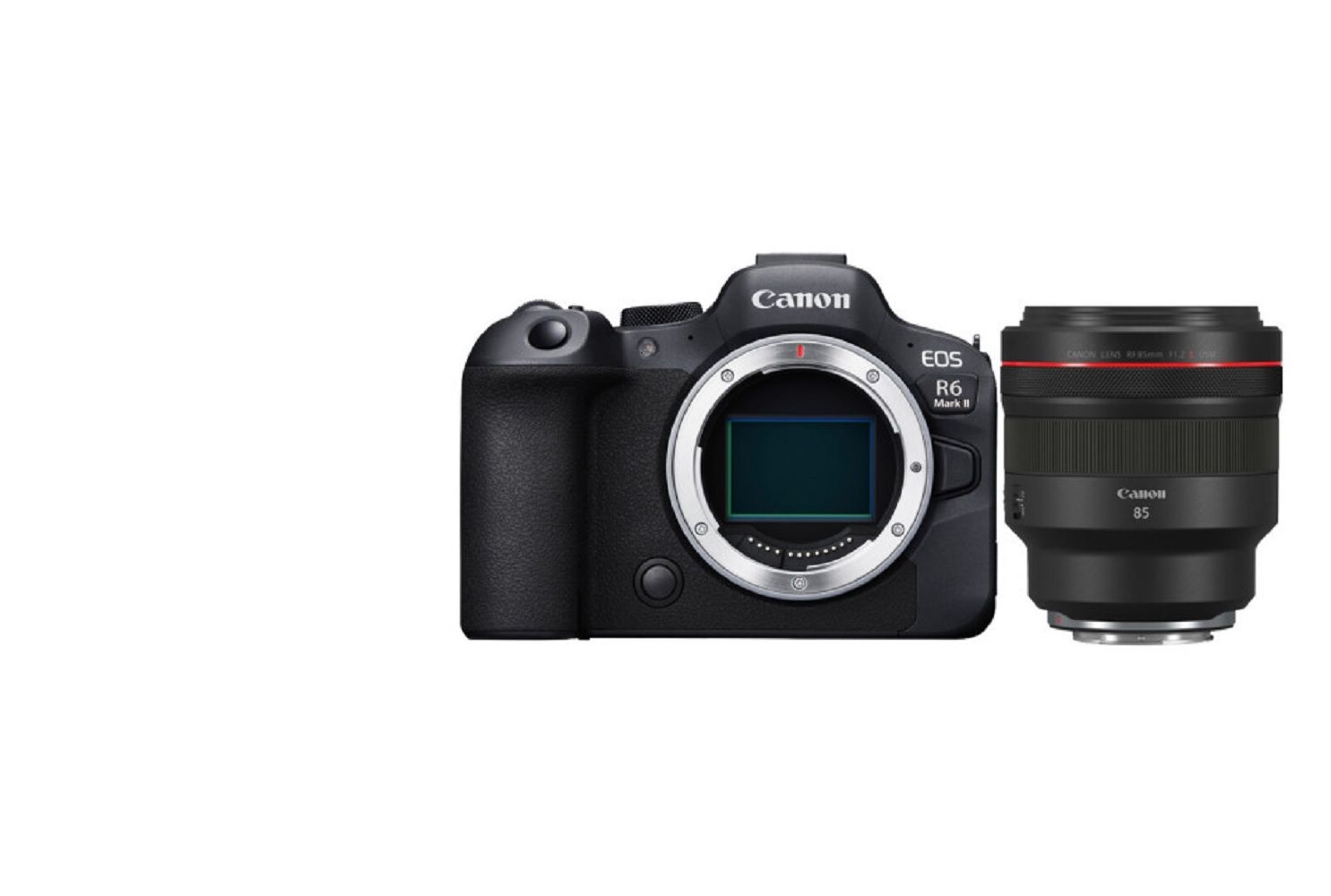 캐논 [캐논코리아 최신정품] EOS R6 Mark II + RF 85mm F1.2L /WG