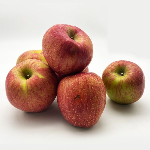 경북 안동 햇 사과 부사사과 못난이사과 2kg(5~16과), 3kg(6~21과), 5kg(12~31과)