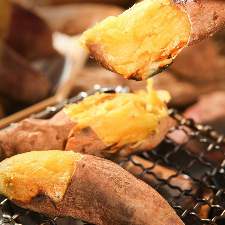 해남 꿀고구마 베니하루카 3kg 5kg 사이즈별 특상품 밤고구마 호박고구마 [원산지:국산(전라남도 해남군)]