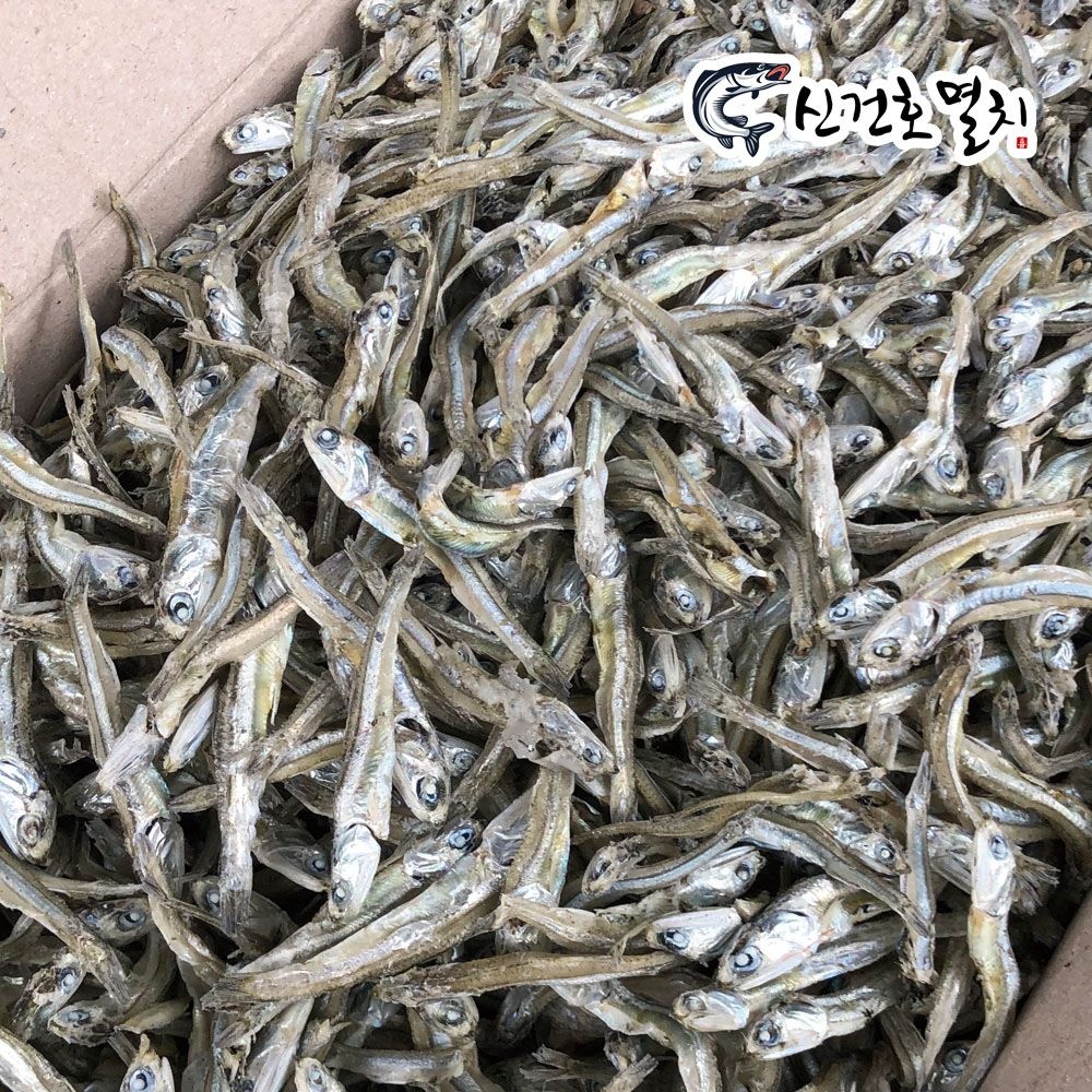 [오늘출발] 신건호멸치 가정용 고바멸치 1.5kg 무료배송 안주멸치 볶음멸치 멸치