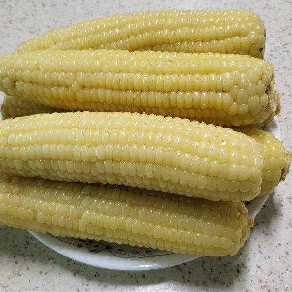 냉동찰옥수수 20개 찰옥수수 미백 강원도 정선 삶아서 급속냉동