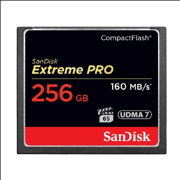 샌디스크 CF Extreme Pro 256GB CFXPS 디지털 카메라 CF메모리카드 口롯데온