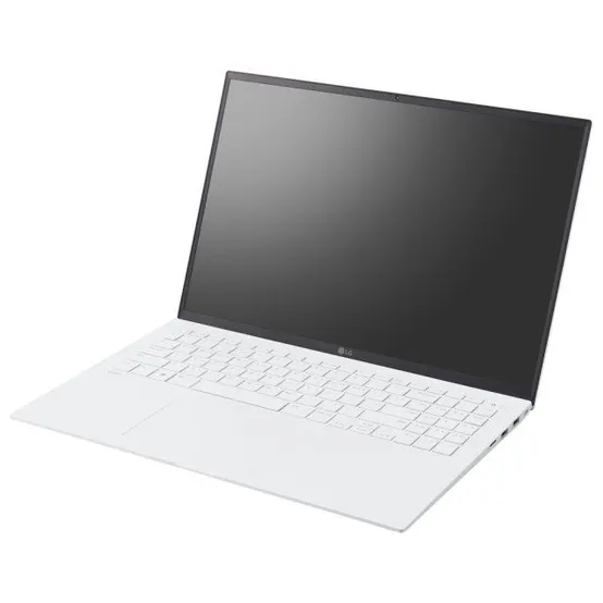 LG전자 LG그램 17Z90R-GD79K SSD 1TB 교체장착 무선마우스증정