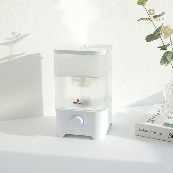 [디온리] [국내생산] 통세척 초음파 미니 가습기추천 DGH2001D