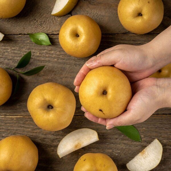 농업회사법인 주식회사 더자인 [더자인] [특가] 국내산 시원한 가정용 햇 배 5kg 소과 (14-18과내외)