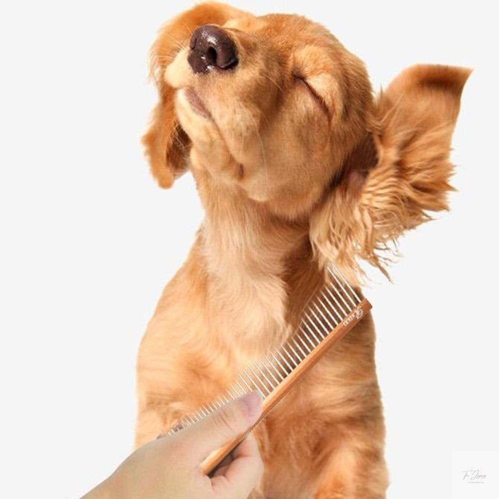 [THEJINJEONG]더진정 리케이 텐더 코스콤 반려동물털빗 애견빗 애견미용기구 애완빗