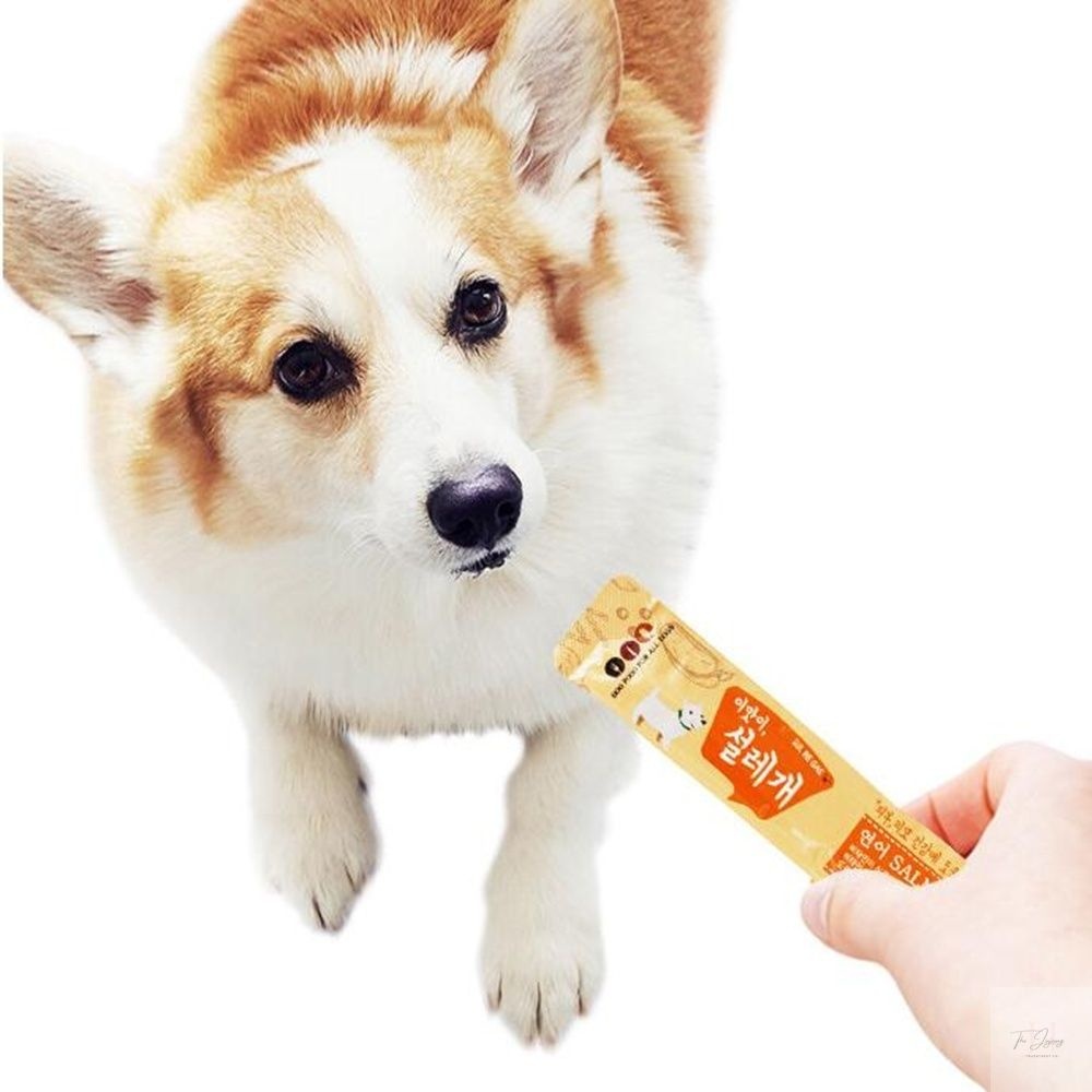 THEJINJEONG 더진정 설레개 연어 애견죽 강아지짜먹는간식 훈련간식 반려견간식