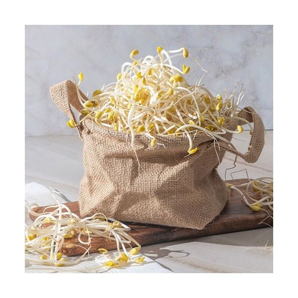 [전남생협] 국내산콩으로 키운 무농약 콩나물 2kg