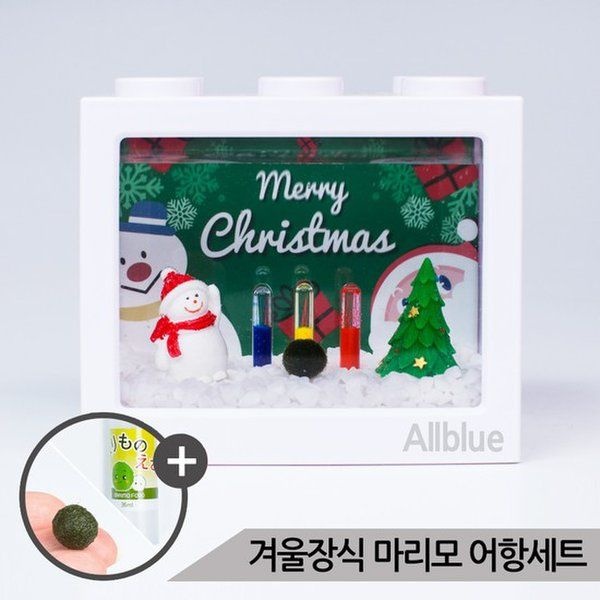 아마존 눈사람 겨울장식 마리모 키우기 세트 마리모포함