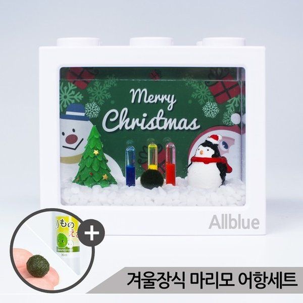아마존 펭귄 겨울장식 마리모 키우기 세트 마리모포함