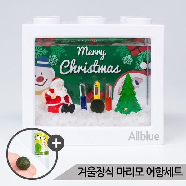 아마존 산타 겨울장식 마리모 키우기 세트 마리모포함