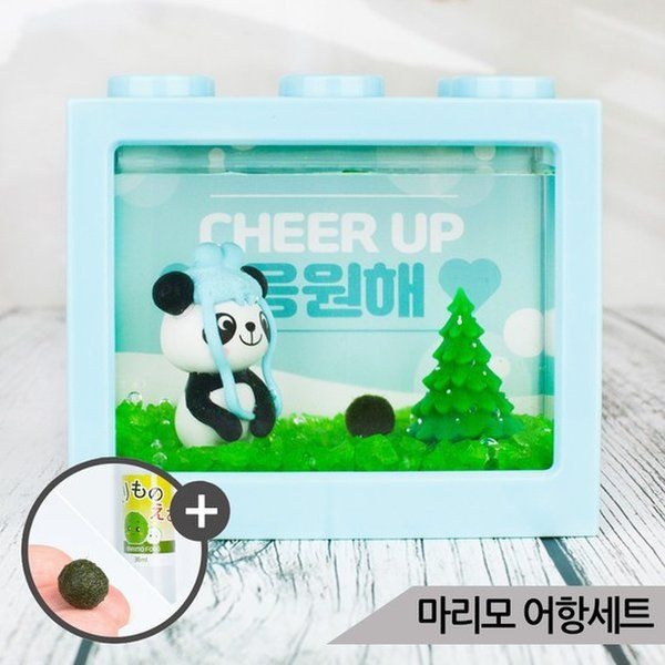 아마존 판다 마리모 키우기 세트 블럭어항 LED등 마리모밥