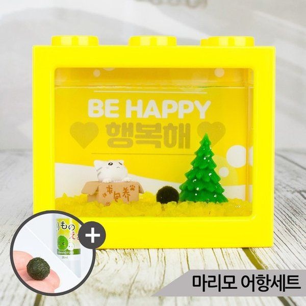 아마존 냥이BOX 마리모 키우기 세트 블럭어항 LED등 마리모밥