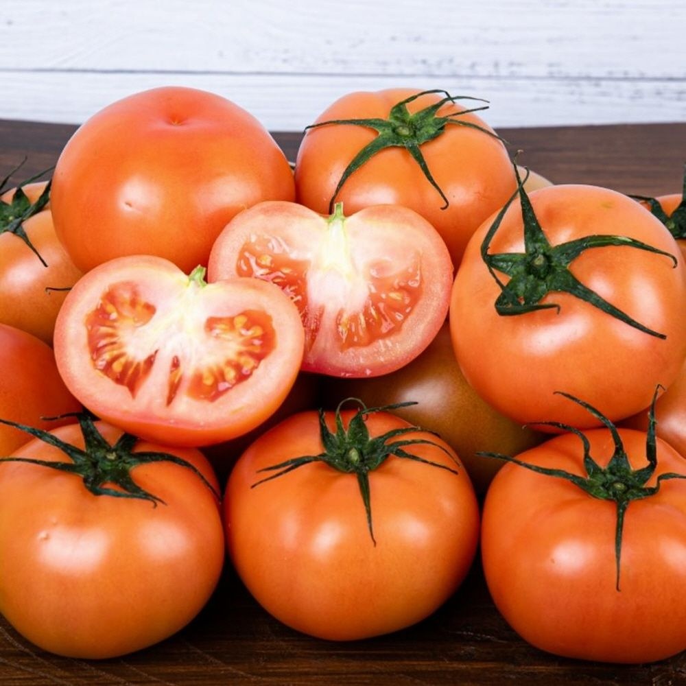 샘스 스테비아 완숙 토마토 1KG 스테비아방울토마토 짭짤이토마토 대저토마토