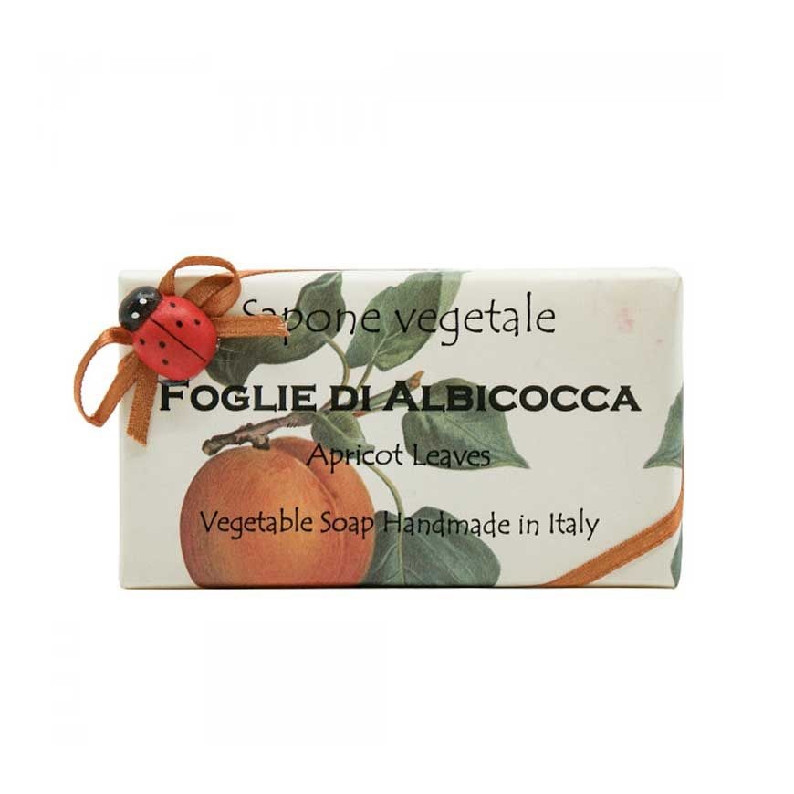 0661539 알키미아 무당벌레 비누 애프리콧리브스