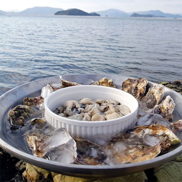 [생굴늘푸] 탱글 통영 생굴 깐굴 1kg 2kg 3kg