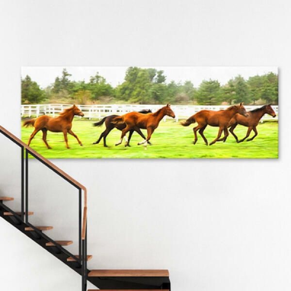 (현대Hmall) 아트박스/꾸밈 cv379-제주도경마목장_달리는말_대형노프레임