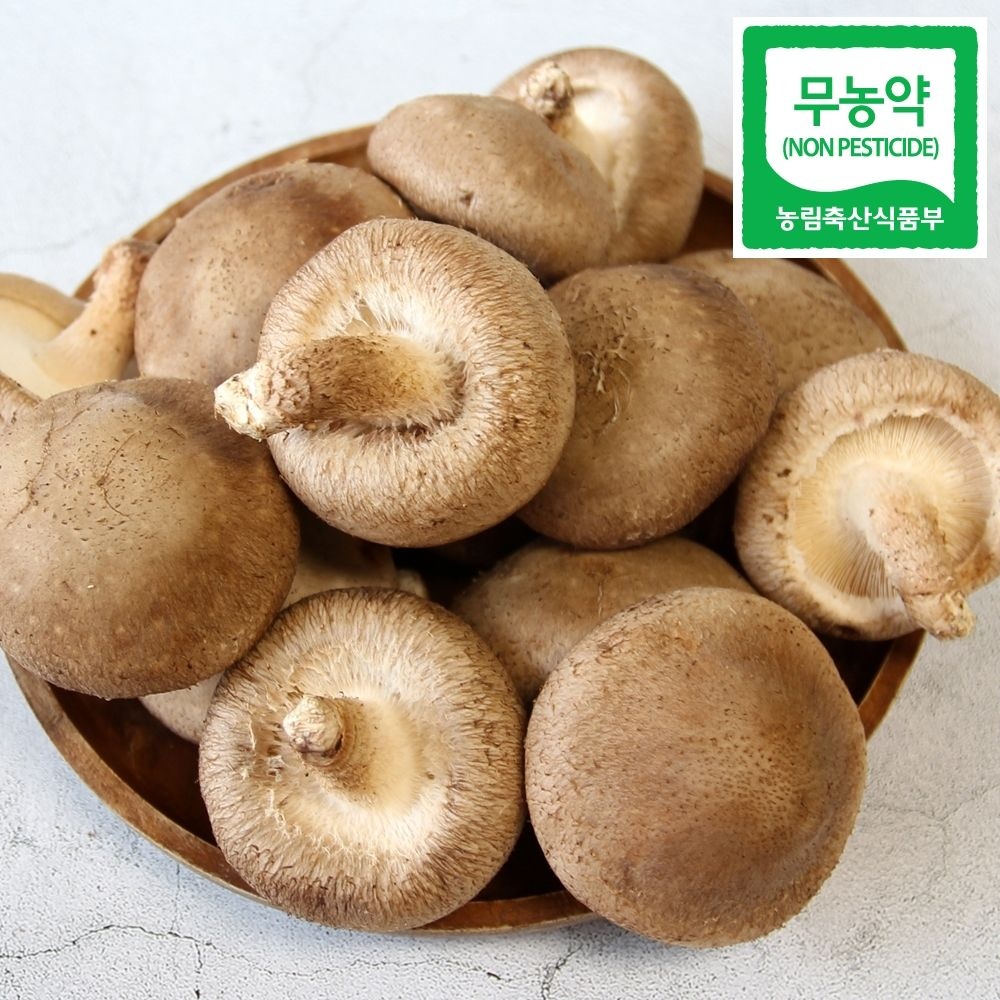 광헌팜 국내산 생표고버섯 가정용 2kg