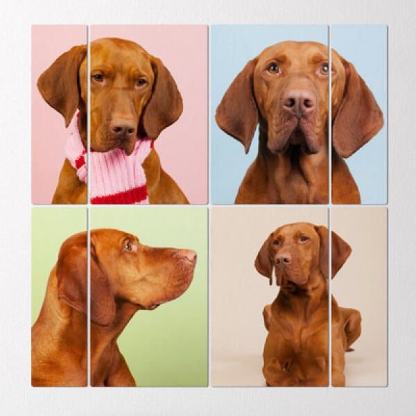 아트박스 (현대Hmall) 아트박스/꾸밈 tg192-멀티액자_비즐라