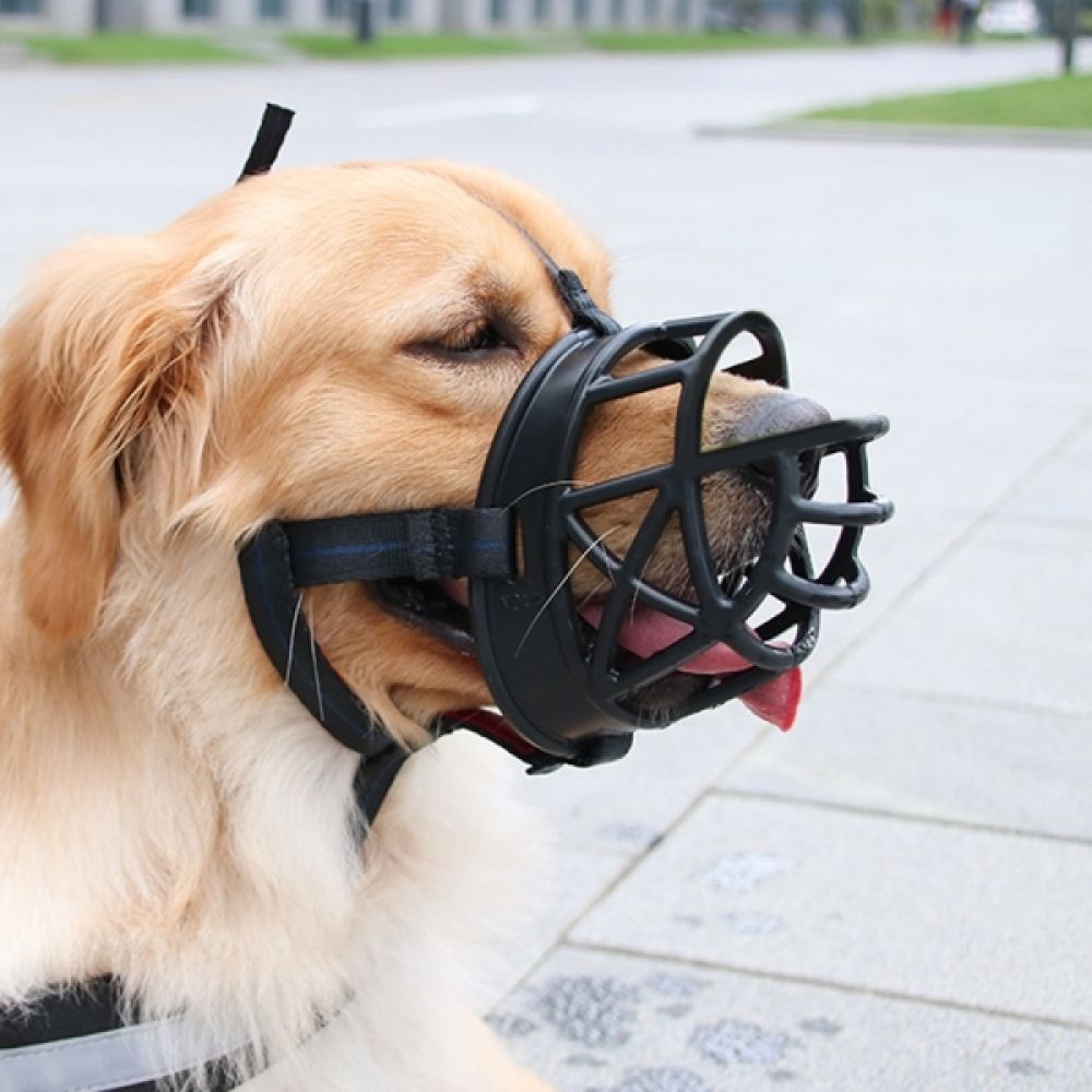 세이프독 강아지 입마개 3호   블랙  대형견 물림방지 애완입마개 반려견입마개 대형견입마개