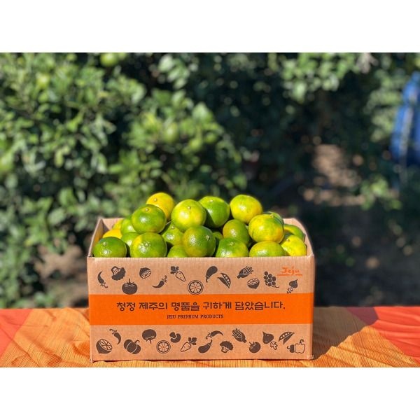 산해직송 협력사 [산해직송] 제주 타이벡 감귤 2.5kg(중대과/L-2L)