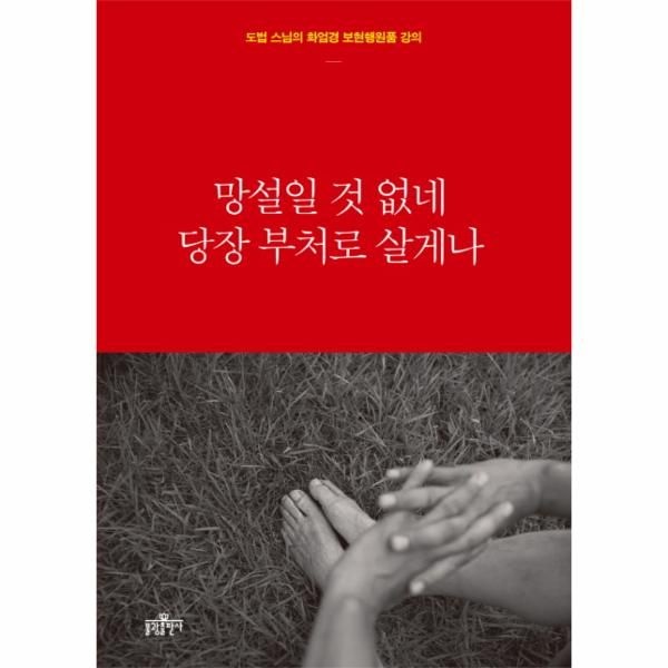 [보리보리]망설일 것 없네 당장 부처로 살게나 도법 스님의 화엄경 보현행원품 강의