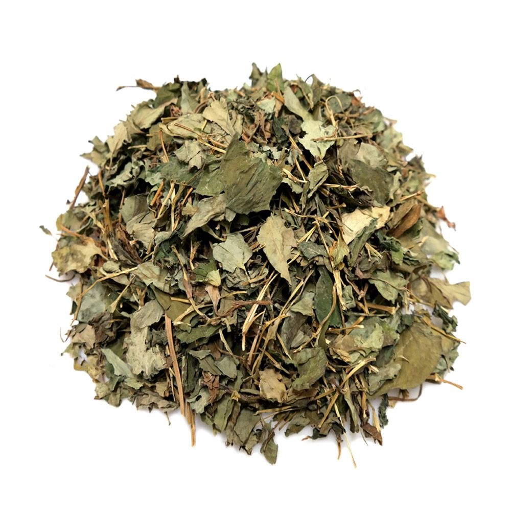 신선약초 국산 어성초 200g 약모밀 건조 어성초차 건강차 원료