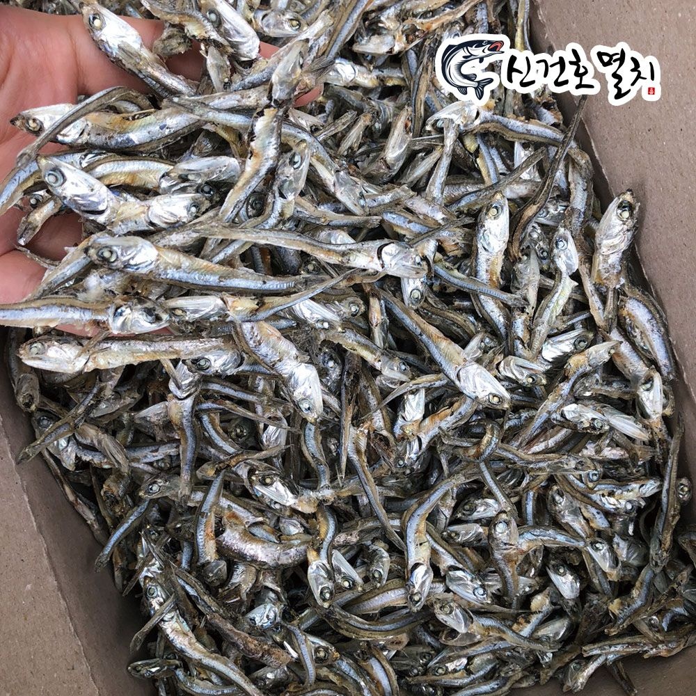 [오늘출발] 신건호멸치 실속 고바멸치 1.5kg 소멸치 안주멸치 볶음멸치 건멸치