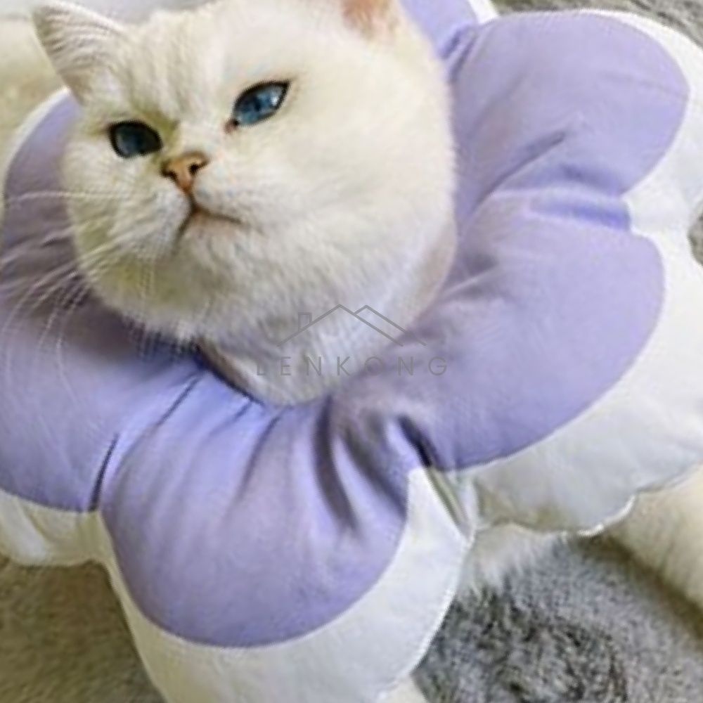 렌콩 강아지깔대기 블루 M 고양이넥카라 고양이쿠션넥카라 강아지카라