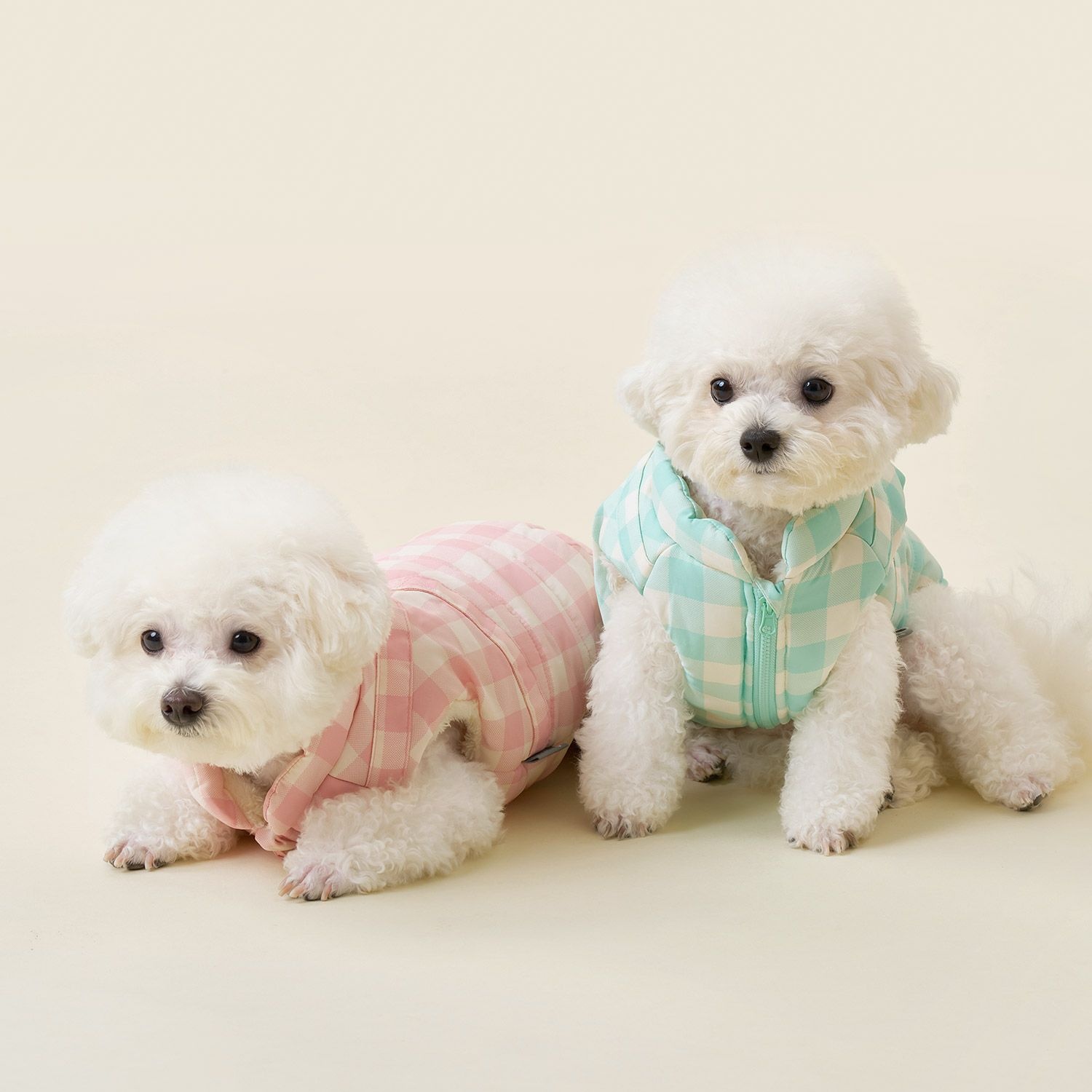 울리 [포토리뷰300P] 울리 첵스 하네스 패딩 베스트 / 강아지 겨울옷 / 애견의류