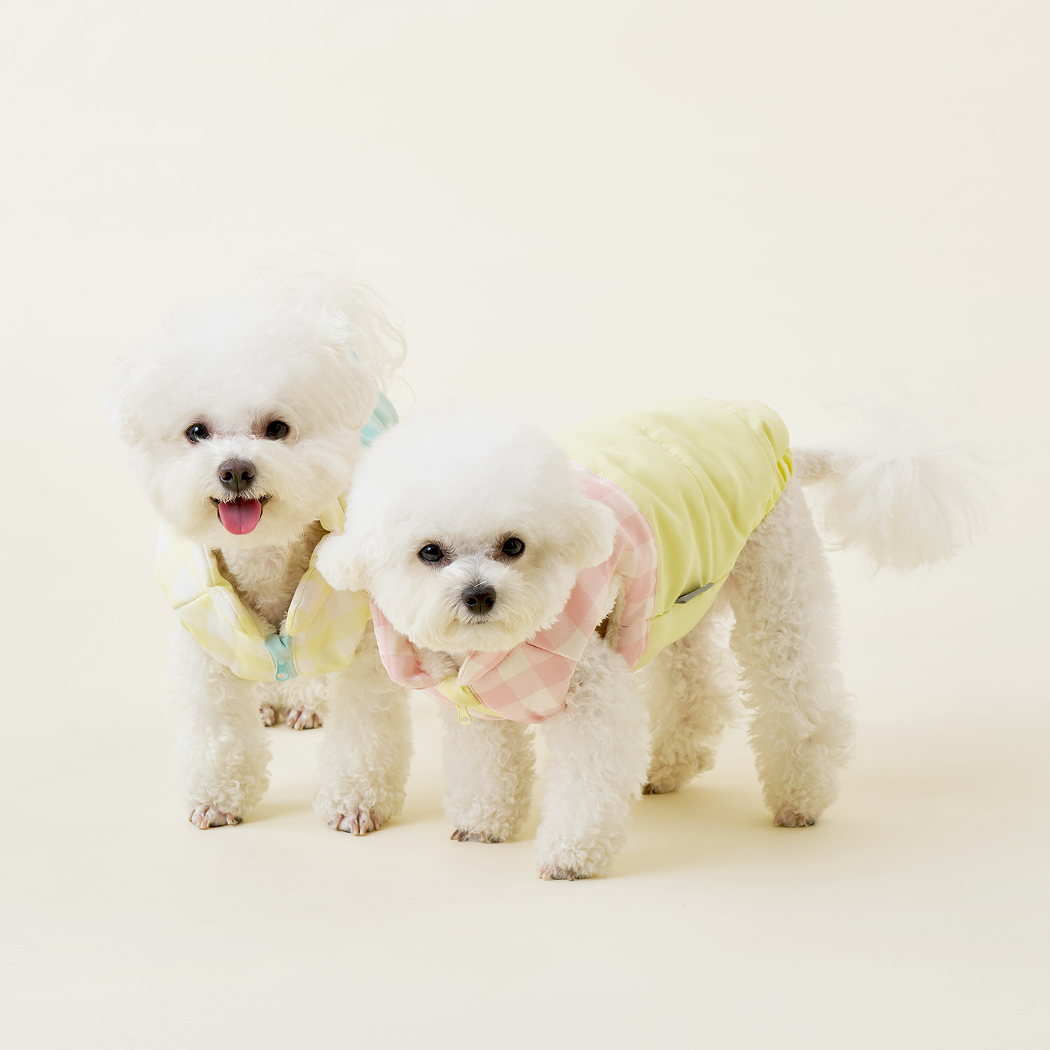 울리 [포토리뷰300P] 울리 와플 하네스 패딩 베스트 / 강아지 겨울옷 / 애견의류