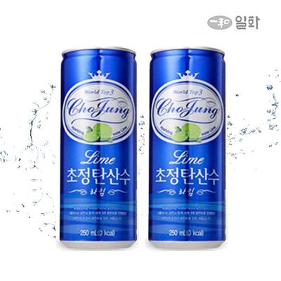 1+1 초정탄산수 라임 250ml*30캔 2박스 (총60캔)