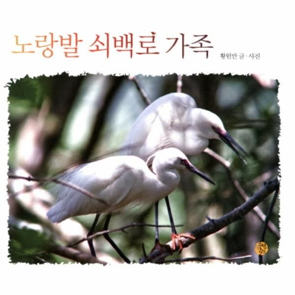 이노플리아 [보리보리]노랑발 쇠백로 가족