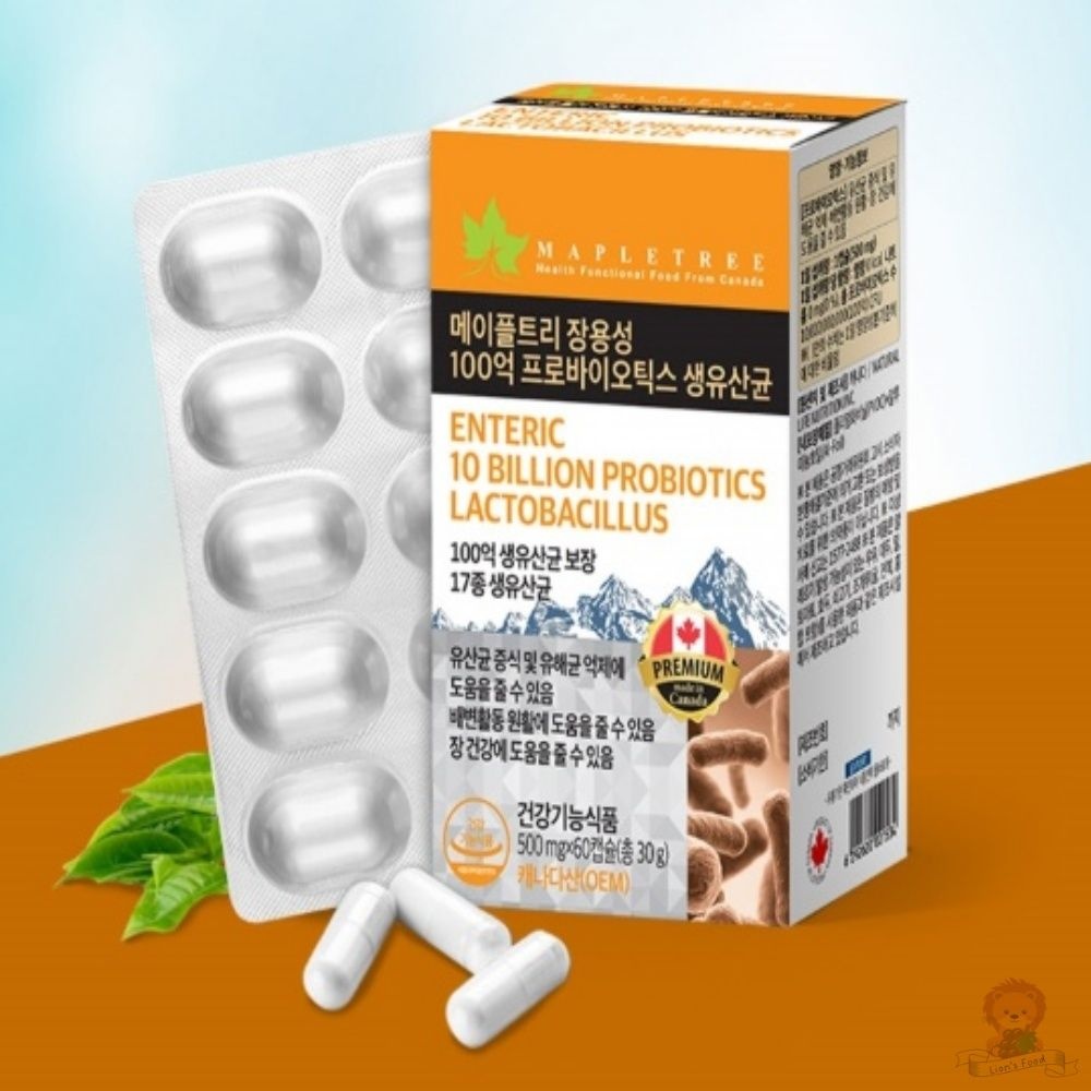 메이플트리 장용성 100억 프로바이오틱스 생유산균 500MG X 60캡슐 장건강 직장인 부모님선물