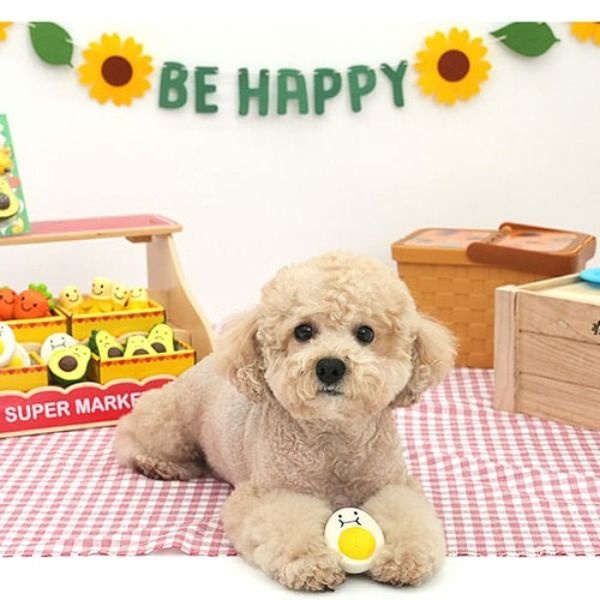 패리스독 굿모닝푸드라텍스토이 강아지 장난감 [랜덤발송] 1P