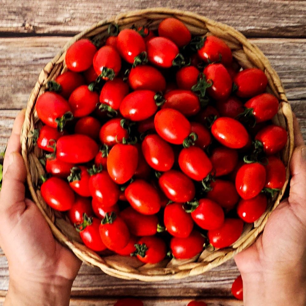 [오늘출발][헤이달다] 대추 방울 토마토 (특품) 1kg 2kg 마트납품용