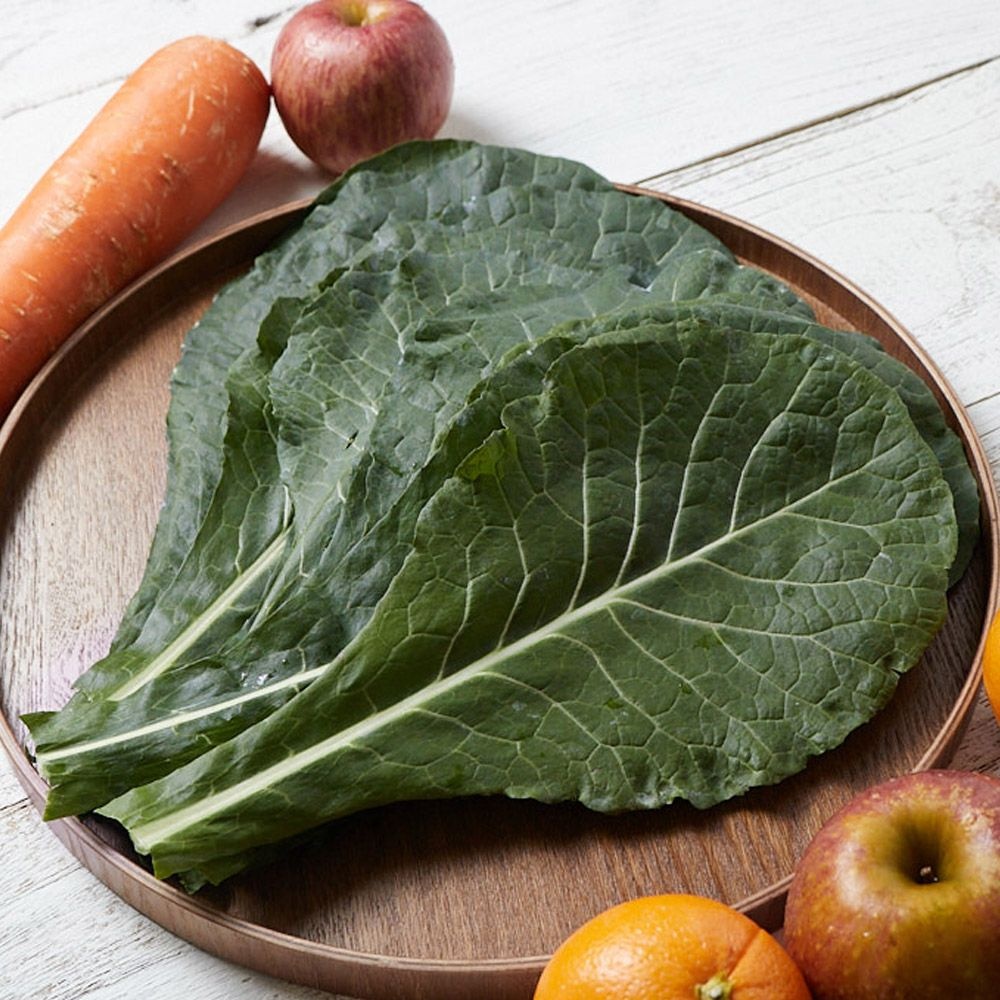 율스키친 친환경 유기농 케일 1kg 2kg 당일수확 산지직송