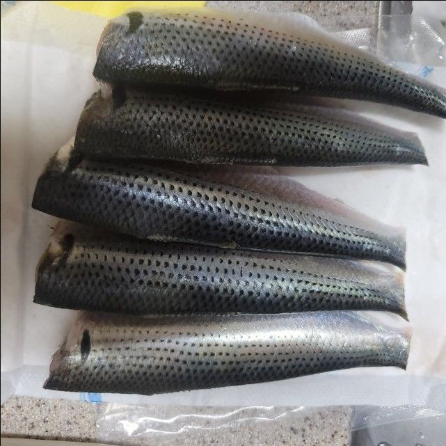 제철 활 전어 세꼬시 500g