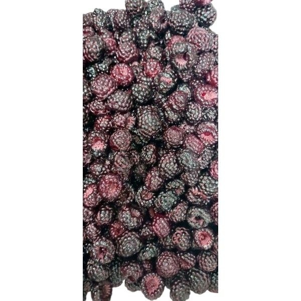 전통 토종 복분자 햇복분자, 2kg(생과급냉)