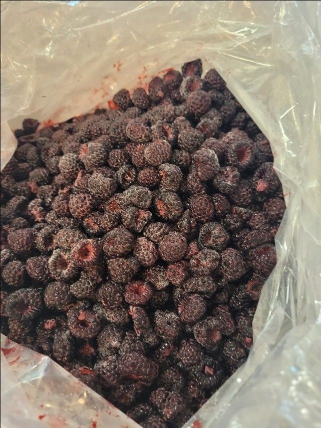 25년 햇 토종 고창복분자 열매 생과, 5kg