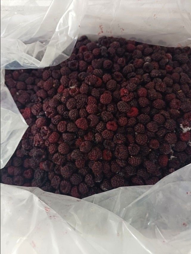 25년 햇 토종 고창복분자 열매 생과, 10kg