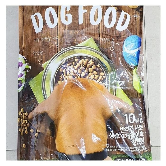 도그 푸드 반려견 사료 (성견용) 10kg x 1개 75971