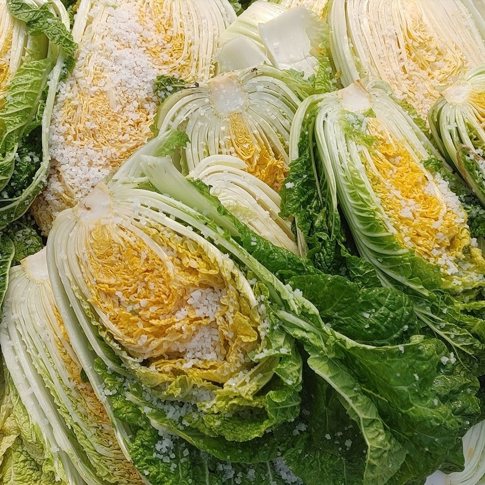 신안 천일염 사용 해남 절임배추 10kg, 20kg