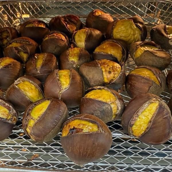 UnKnown 부여 포르단 밤 3kg 특 25년 햇밤 부여 칼집밤 칼집단밤 홀라당밤 부여밤 부여햇밤 부여단밤 생밤 뜨레밤