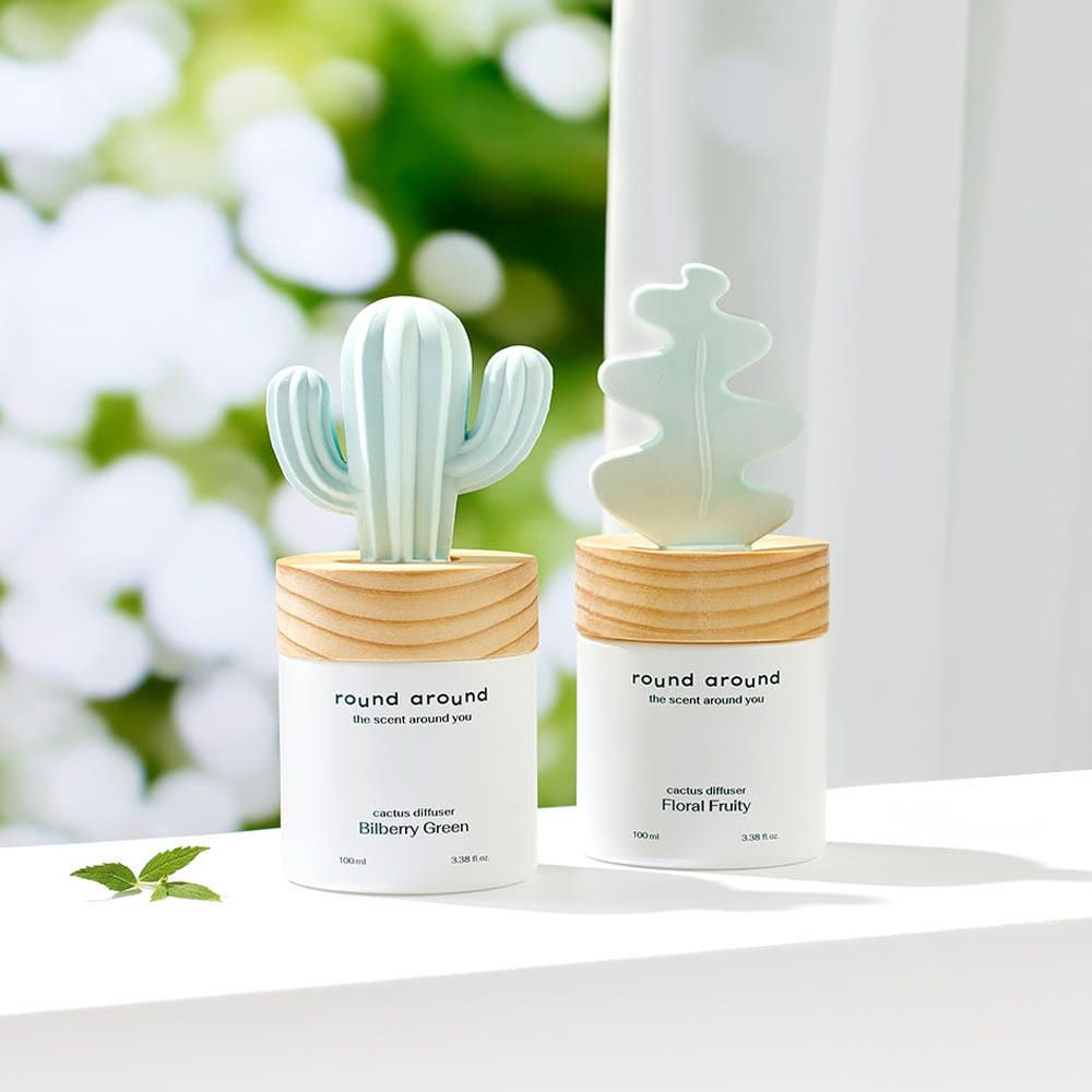 라운드어라운드 라운드어라운드 선인장 디퓨저 100ml 2종 택1