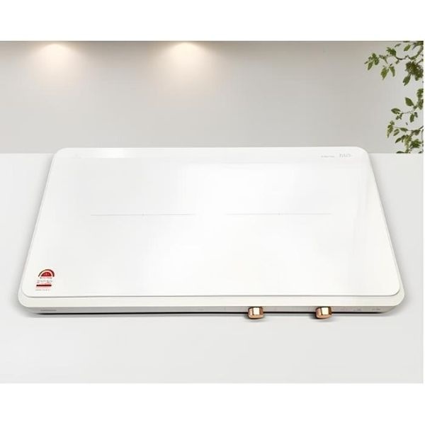 삼성전자 더 플레이트 인덕션 2구 프리스탠딩  NZ62DG300CFW...