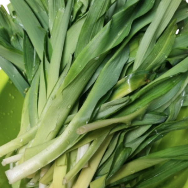 국내산 생 원추리 봄나물 망우초 원츄리 1kg x 2개 (총 2kg)