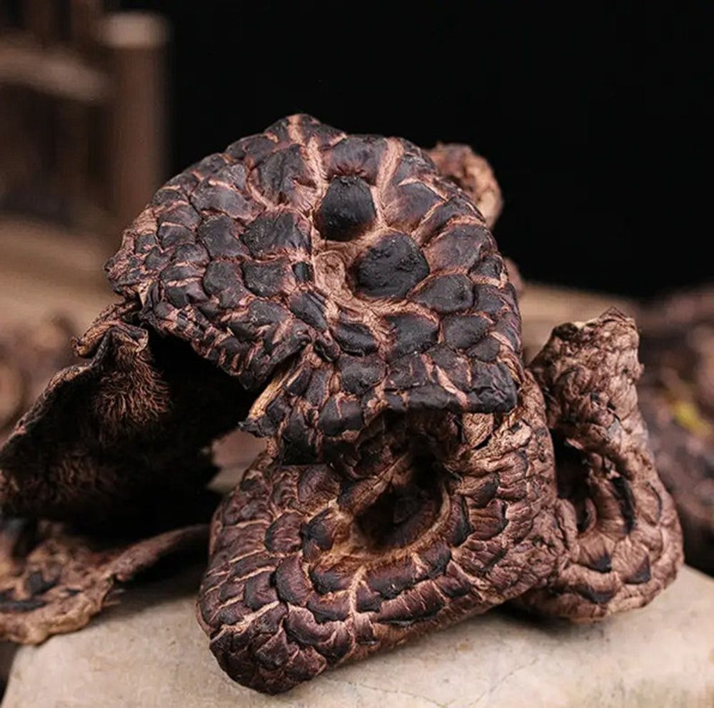 능이버섯 1kg 티베트산